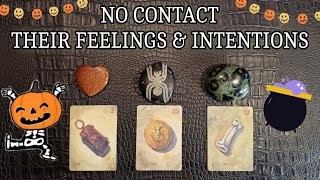 NO CONTACT  Their Feelings amp Intentions Towards You 🥴💗 Pick A Card Reading [upl. by Vachel]