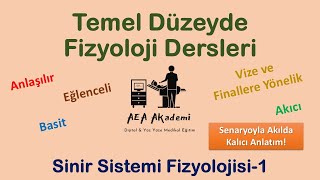 Temel Fizyoloji Dersleri Sinir Sistemi Fizyolojisi1 OrganizasyonSinaptik İletiNörotransmitter [upl. by Allez]