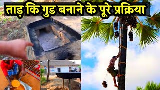 Tal Gur Making  ताड के गुड़ कैसे बनता हैं जरूर देख्यो । Palm jaggery making full procces [upl. by Assyla]