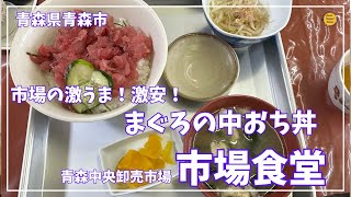 青森グルメ 青森県青森市 青森中央卸売市場食堂の激うま激安！ まぐろの中おち丼！ 「ぼっちグルメウーマンの青森・岩手・秋田の食巡り！ 50代女性が贈る極上のグルメ冒険」 [upl. by Bourgeois]