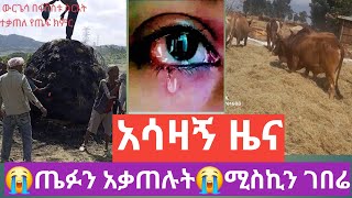 😭በሰሜን ወሎ ህዳር 4 ሚስኪኑን ገበሬ አስለቀሱት ጤፉን አቃጠሉበት [upl. by Assille]