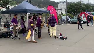 New Zealand public Music at Wellington [upl. by Ashok]