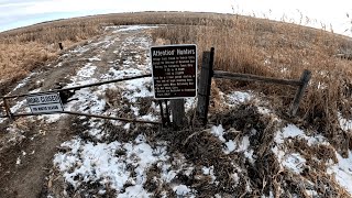 Late Season South Dakota Pheasant Hunting [upl. by Ahsiuqram]