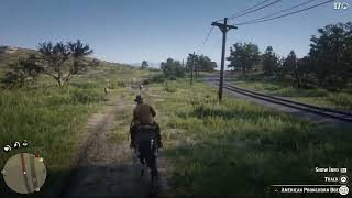 2 Red Dead Redemption 2 Casual Stream  No Commentary [upl. by Grigson]