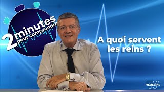 A quoi servent les reins   2 minutes pour comprendre [upl. by Holleran]