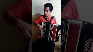 El gateao🪗🎶🇦🇷 musica argentina acordeon chamame corrientes sanfoneiro [upl. by Akli465]