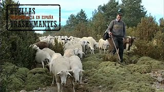 LA CABAÑERA DEL PIRINEO ARAGONÉS trashumancia THE LIVESTOCK TRAIL OF THE ARAGONESE PYRENEES [upl. by Obel]