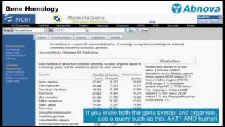 Gene Homology [upl. by Gherlein]