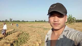 I now come to work 60 km from home ourfarmar boy life is not easy 😔ram hunuman [upl. by Alhan]