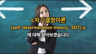 김유미 노무사 경조 자기결정이론selfdetermination theory  SDT [upl. by Tawnya407]