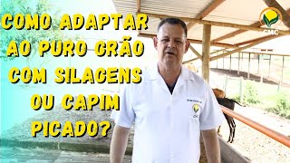 Como adaptar ao Puro grão com silagens ou capim picado VOCÊ pergunta e o CMC responde [upl. by Hunt149]