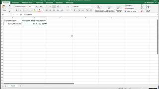 Excel modifier un format spécial [upl. by Gerkman426]