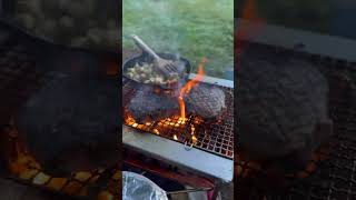 Worlds Greatest Camping Grill Snow Peak Takibi Grill [upl. by Kohsa469]