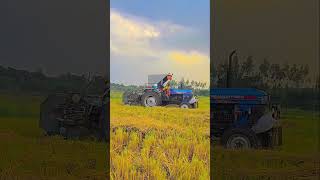 Powertrac in field 🥰 [upl. by Dawson]