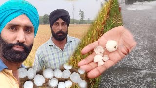 PUNJAB CRAZY GOLFBALL SIZED HAIL STORM \ heavy sleet fall in Punjab [upl. by Malliw]