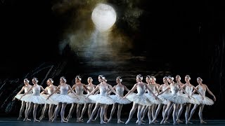 Swan Lake – Act II corps de ballet The Royal Ballet [upl. by Zitella72]