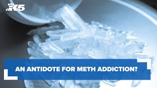 An antidote for meth addiction Doctors say its quite possible [upl. by Ettezoj]