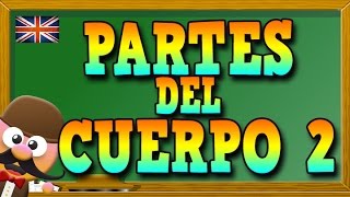 PARTES DEL CUERPO HUMANO 2 EN INGLÉS APRENDE INGLÉS CON MR PEA ENGLISH FOR KIDS [upl. by Deedee964]