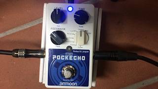 AMMOON POCKECHO DEMO TEST Delay amp Looper Pedal [upl. by Yesnil240]