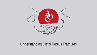 Understanding Distal Radius Fractures with Hand Surgeon Dr Michael Shuler [upl. by Aradnahc879]