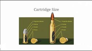 Bullet Comparison  Calibers and Bullet Measurements Explained [upl. by Funda]