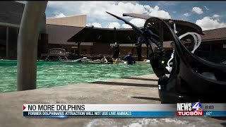 Dolphins not returning to Dolphinaris in Scottsdale OdySea says [upl. by Broome]