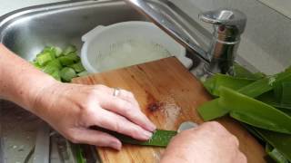 How to prepare aloe vera to cook [upl. by Zennas]