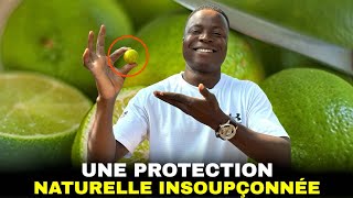 Les secrets puissants du Citron un trésor santé à portée de mains ￼ [upl. by Shaum]