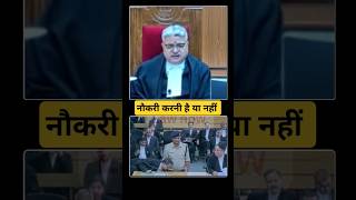 नौकरी करनी है या नहीं Mp high court shorts [upl. by Machos]