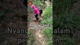 perjalanan adventure cigangsa shorts short viralvideo adventure perjuangan [upl. by Onairotciv387]