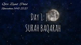 Juz 1 Surah Baqarah  Taraweeh Salah  Qari Ziyaad Patel 20201441 [upl. by Lama]