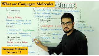 conjugated molecules  Lipoprotein Glycolipid Glycoprotein Nucleoprotein [upl. by Eceinaj340]