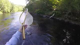 Fly Fishing Farmington River [upl. by Reese]