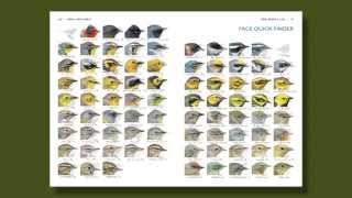 The Warbler Guide  How to Use the Quick Finders [upl. by Lodhia]