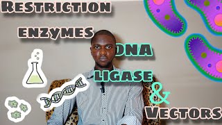 Restriction enzymes  DNA ligase  Vectors  Molecular Biology  Biotechnology  Lees lens [upl. by Lynd]