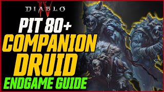 Companion Druid is INSANE Pit 80 Made Easy  Diablo 4 Season 4 Druid Build Guide [upl. by Amlas]