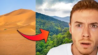 How China Turned the Desert Green this is shocking [upl. by Brucie]