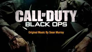 CoD Black Ops Soundtrack  Epilogue [upl. by Ateekan]