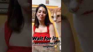 Babita Ji Cat 😻 tarakmehtakaultachashma tmkoc babitaji munmundutta cat ytshorts tmkoshort [upl. by Lehplar]