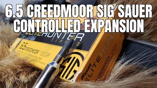 65 Creedmoor 130gr Sig Sauer Elite Hunter Controlled Expansion Pork Loin Test [upl. by Warfore]