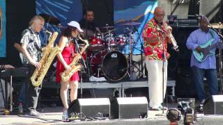 Reggie Houston amp Crescent City Connection  Waterfront Blues Festival 2015 [upl. by Nnyltiak]