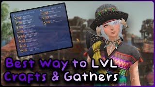 FFXIV Dawntrail  All amp Best Ways to get Crafter amp Gathers to Level 100 [upl. by Coltun]