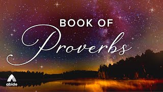 Bible Audio for Deep Rest Proverbs  Holy Bible Audio [upl. by Voccola]