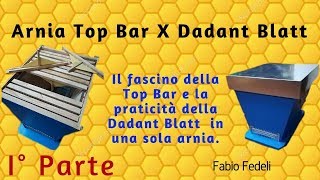 Top Bar Hive arnia Incrocio arnia Top bar e arnia Dadanblat 1 parte di 2 [upl. by Slayton]