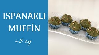 BEBEKLERE ISPANAKLI KEK TARİFİ  ISPANAKLI MUFFİN  BEBEKLERE ATIŞTIRMALIK TARİFİ [upl. by Nothgierc]