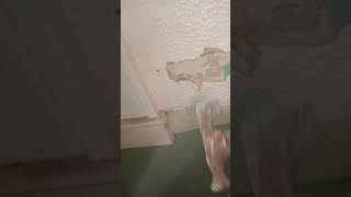 hanging drywall over plaster isnt easy guys [upl. by Ididn]