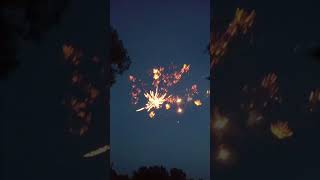 500g Firework Finale Cake Salute Reupload fireworks july4th experiment diy [upl. by Anaehs400]