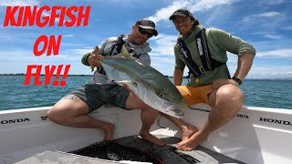 SHALLOW Water FLY FISHING Saltwater Flats New Zealand [upl. by Kieran]