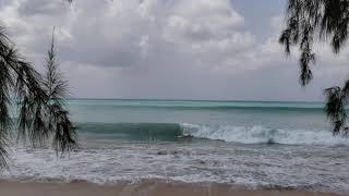 Surf Breaks of Barbados  January 31 2021  Mullins [upl. by Atsirhcal]