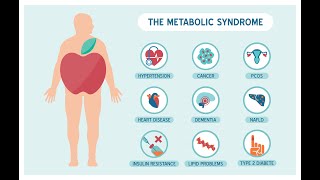 Syndrome métabolique [upl. by Aduhey]